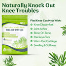 HealPatch™ - Natural Knee Pain Relief Patches 🌿🦵